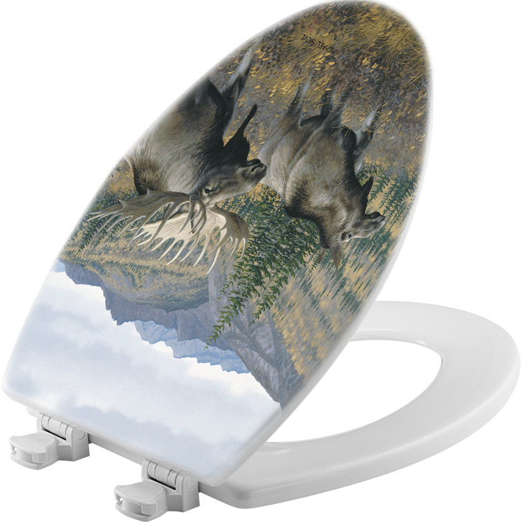 House & Homebody Co. Working the Ridge Elongated Toilet Seat Wayfair